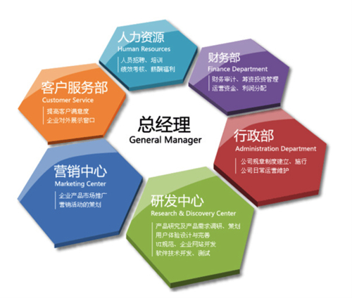 公司组织结构图-放入正文_副本.jpg